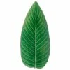 Costa Nova - Riviera Tomate Strelizia Leaf 40cm 2 Costa Nova - Riviera Tomate Strelizia Leaf 40cm -Villeroy & Boch shop 595301 Large