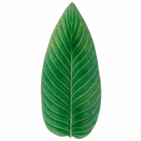 Costa Nova - Riviera Tomate Strelizia Leaf 40cm 3 Costa Nova - Riviera Tomate Strelizia Leaf 40cm